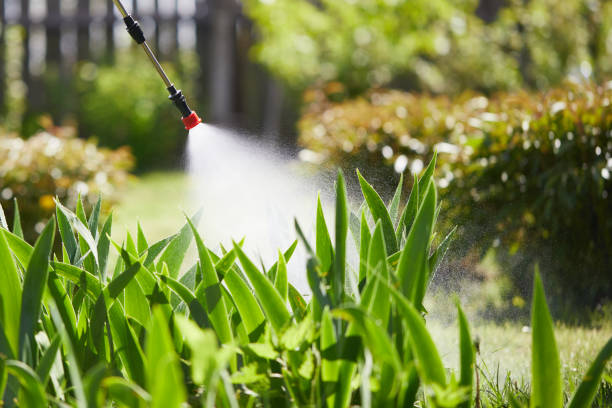 24/7 Emergency Mosquito Control experts in Ferndale, MD