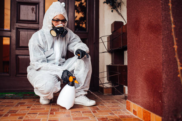Reliable Mosquito Control contractor in Ferndale, MD by Show Me Pest Control